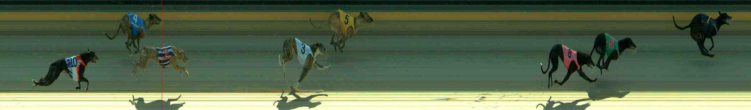 Race result finish photo